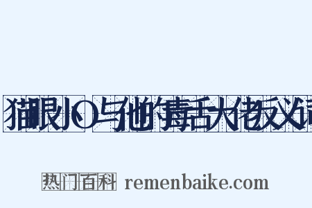 猫眼小O与他的毒舌大佬反义词是什么意思的图片
